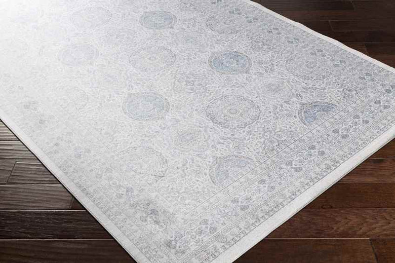 Dussen Traditional Light Gray Area Rug