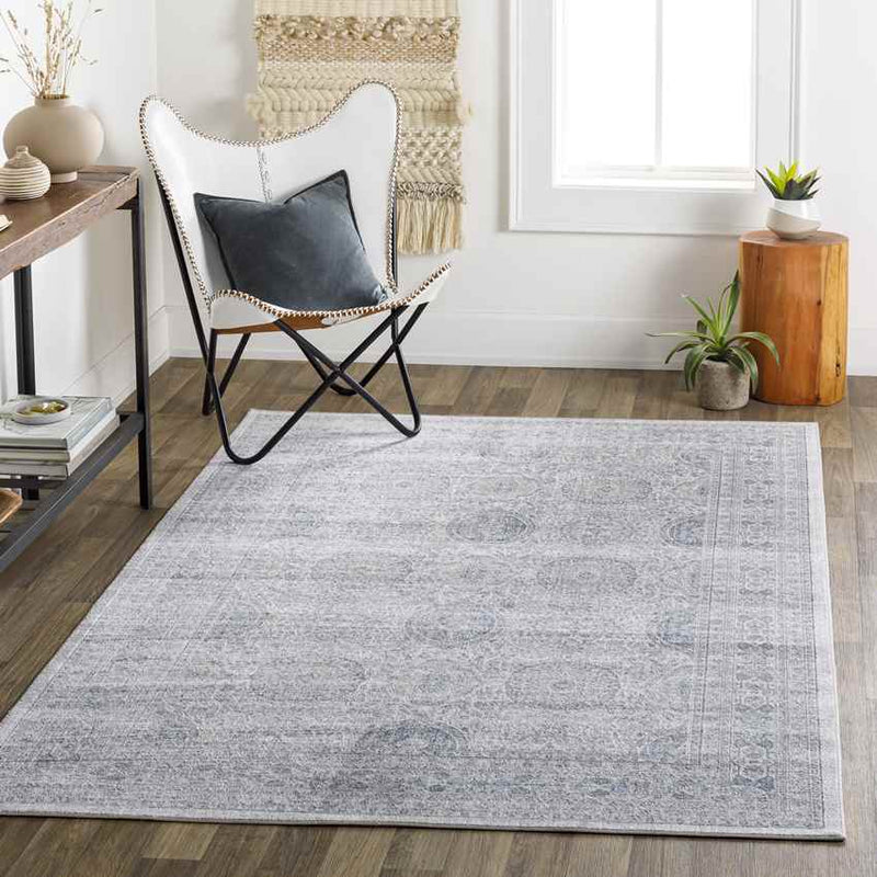 Dussen Traditional Light Gray Area Rug