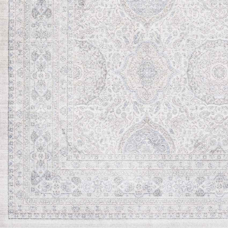 Dussen Traditional Light Gray Area Rug