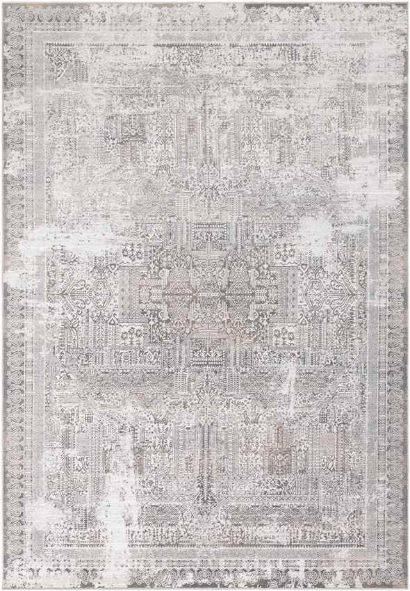 Egypte Traditional Light Gray Area Rug