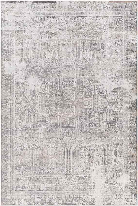 Egypte Traditional Light Gray Area Rug