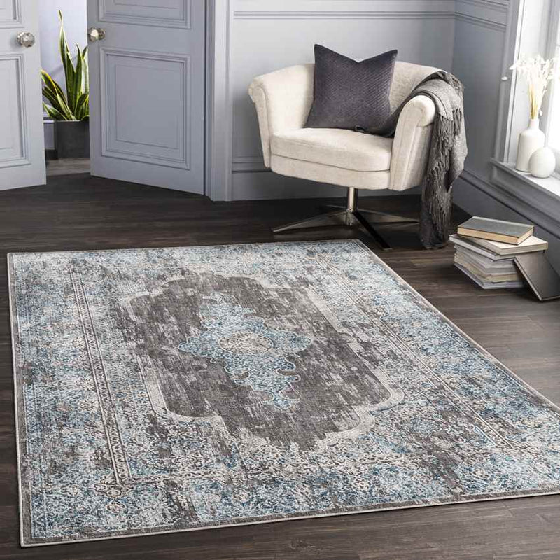 Eindje Traditional Medium Gray Area Rug