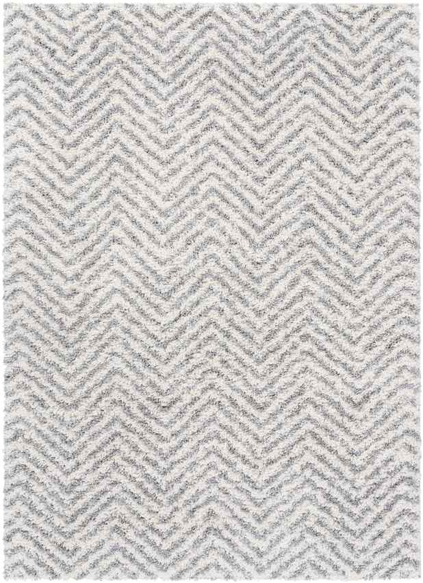 Gennep Modern Light Gray Area Rug