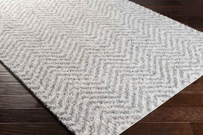 Gennep Modern Light Gray Area Rug