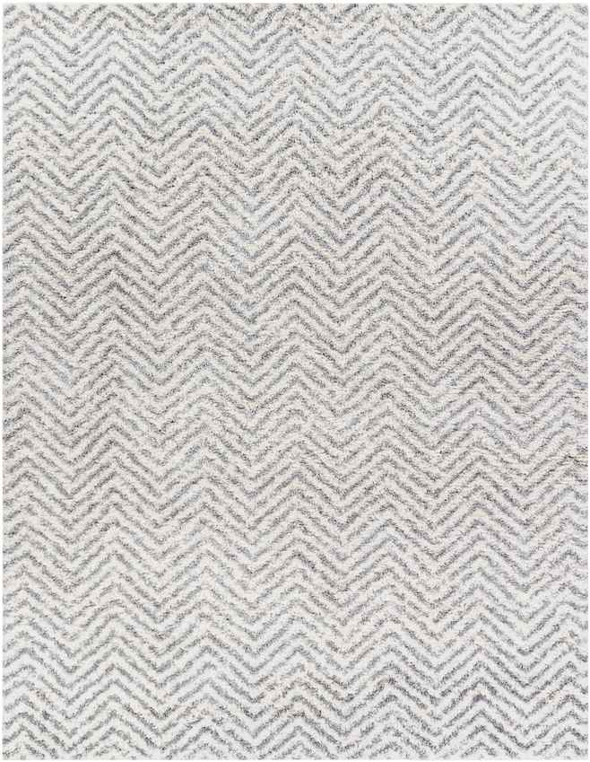 Gennep Modern Light Gray Area Rug