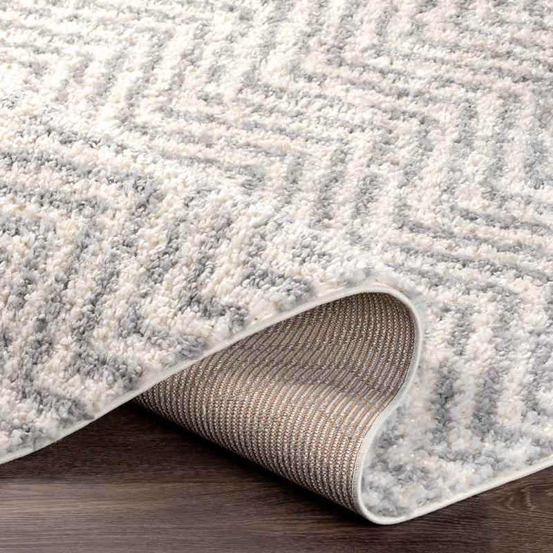 Gennep Modern Light Gray Area Rug