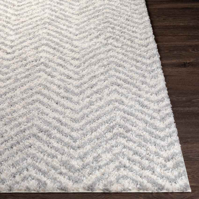 Gennep Modern Light Gray Area Rug