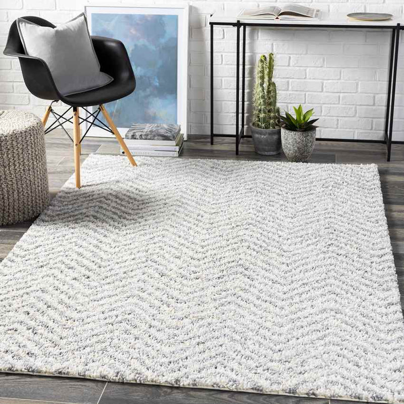 Gennep Modern Light Gray Area Rug