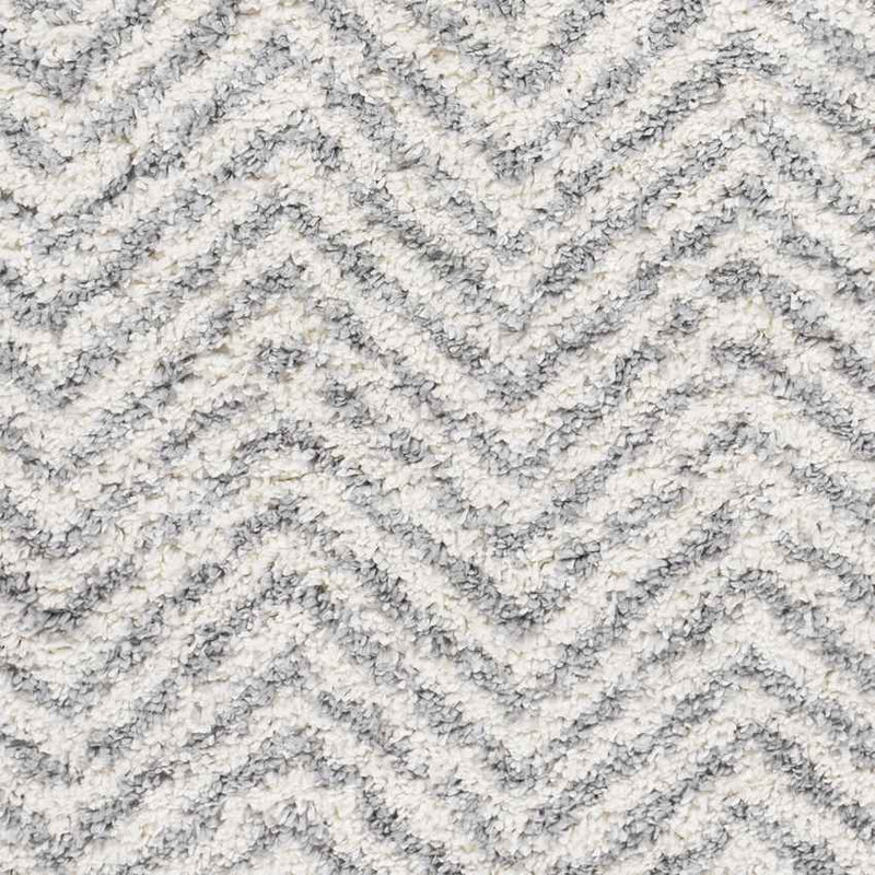 Gennep Modern Light Gray Area Rug