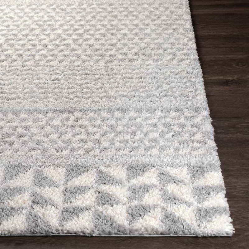 Gewande Global Light Gray Area Rug