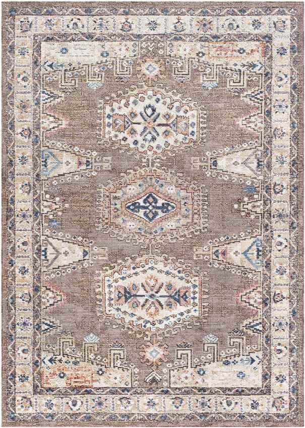 Grave Traditional Dark Brown Area Rug