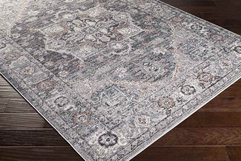 Grazen Traditional Light Gray Area Rug