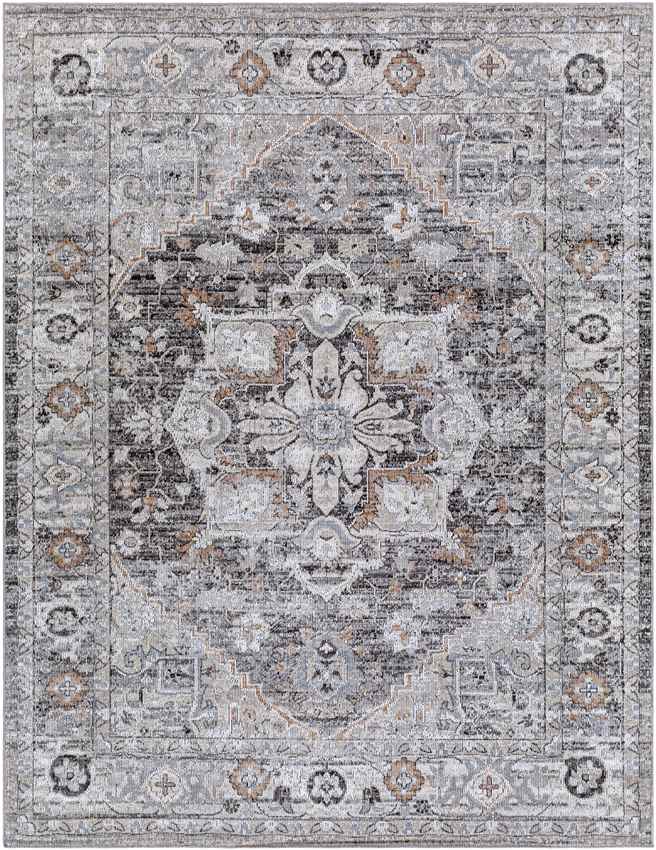 Grazen Traditional Light Gray Area Rug