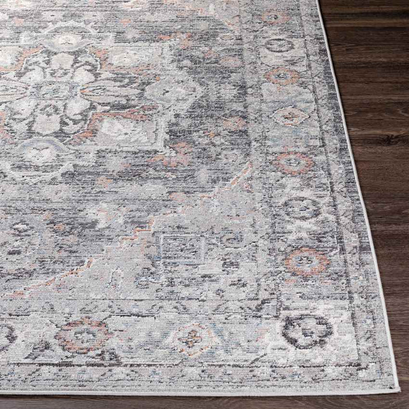 Grazen Traditional Light Gray Area Rug