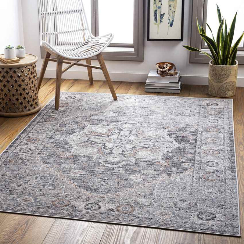 Grazen Traditional Light Gray Area Rug