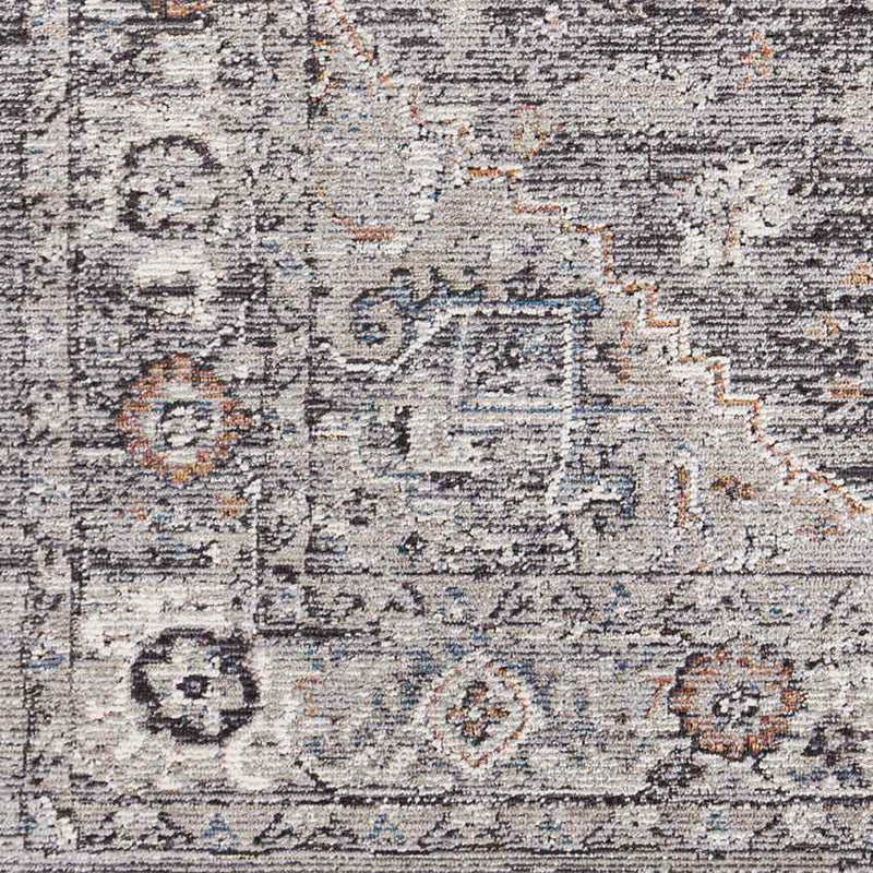 Grazen Traditional Light Gray Area Rug