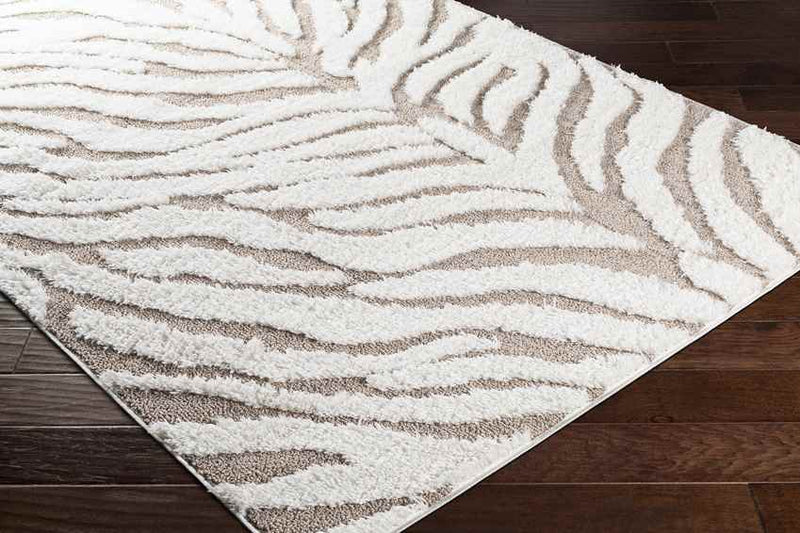 Hanenberg Modern Beige Area Rug