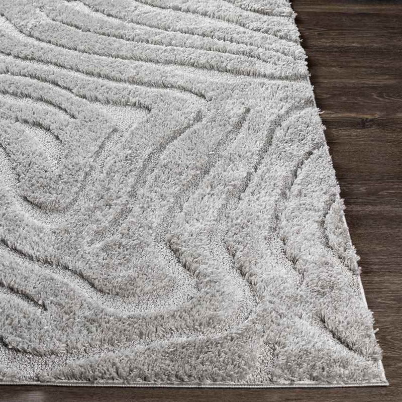 Hapert Modern Light Gray Area Rug