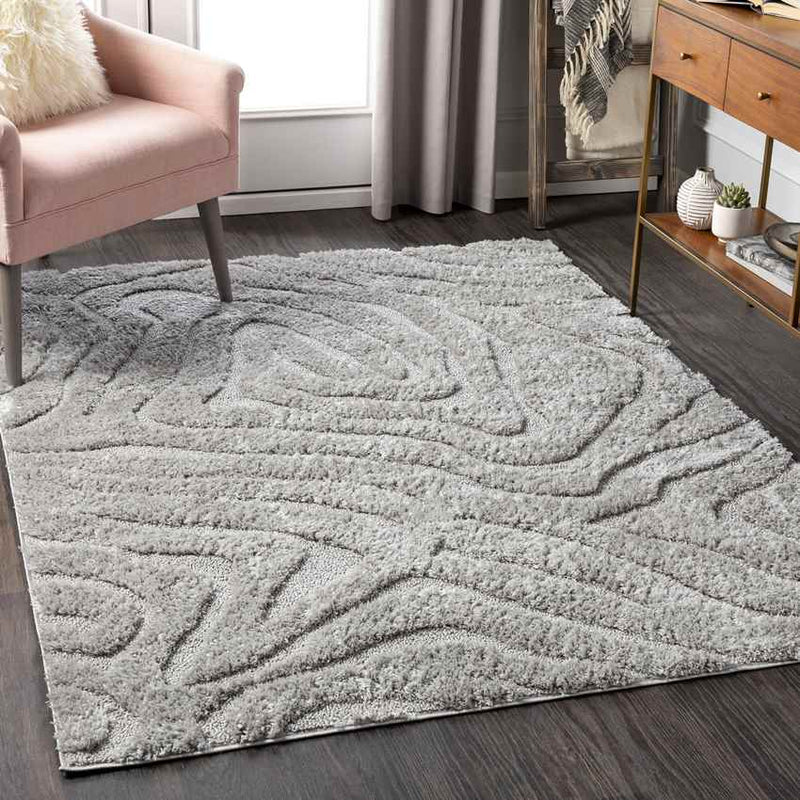 Hapert Modern Light Gray Area Rug