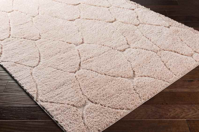 Haps Modern Peach Area Rug