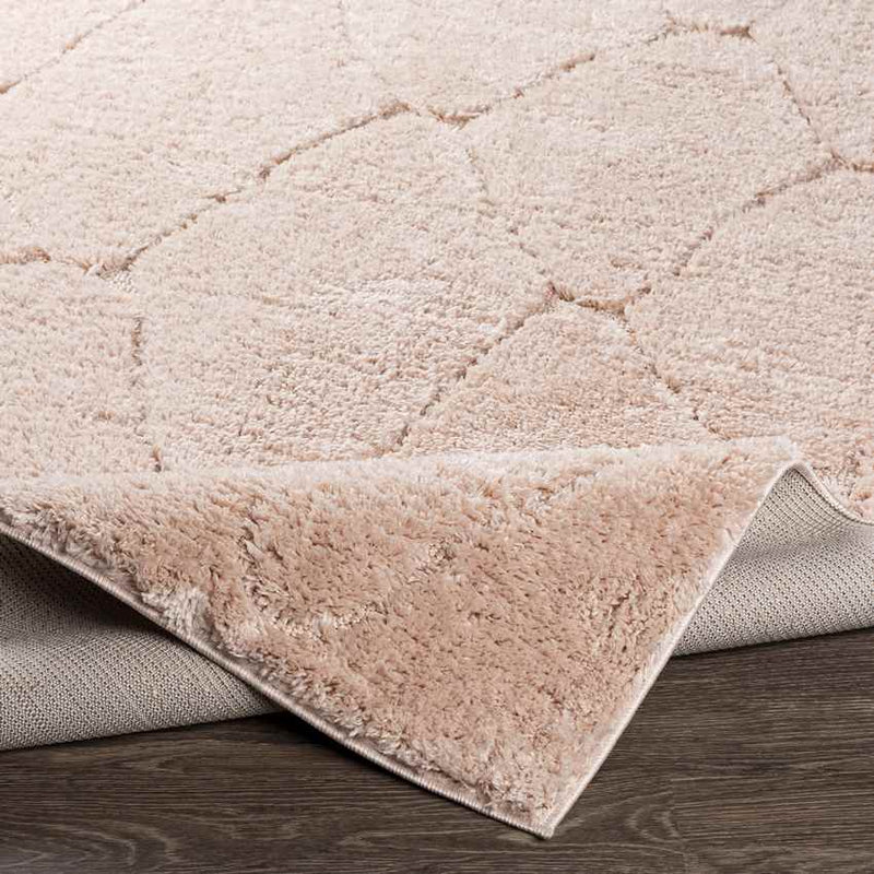 Haps Modern Peach Area Rug