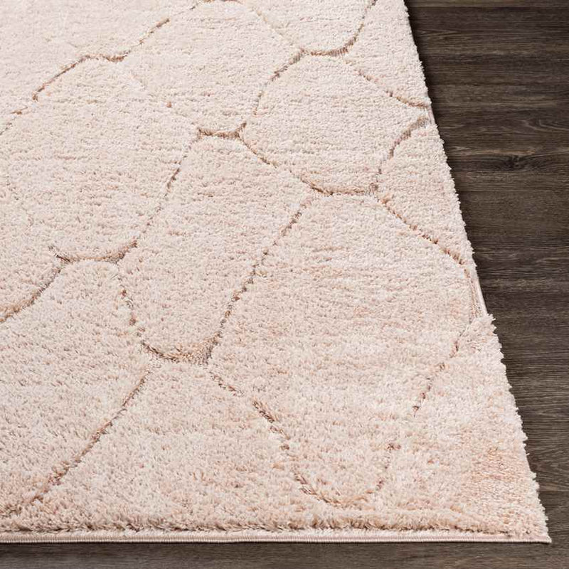 Haps Modern Peach Area Rug