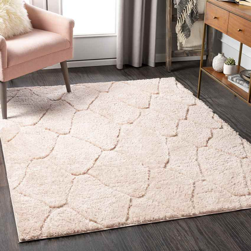 Haps Modern Peach Area Rug