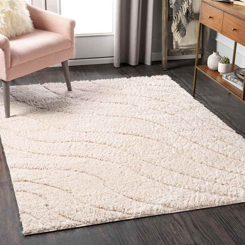 Haring Modern Blush Area Rug