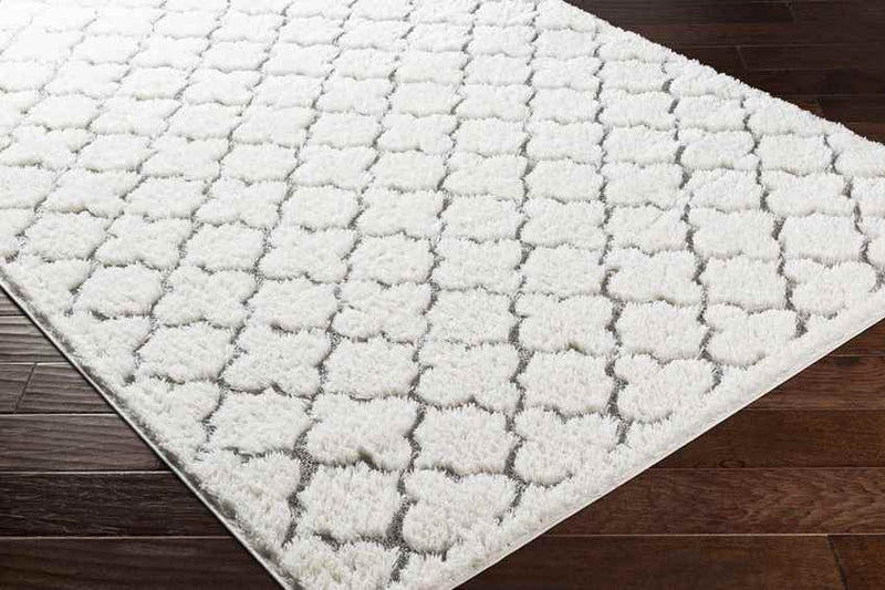 Hazennest Modern Cream Area Rug