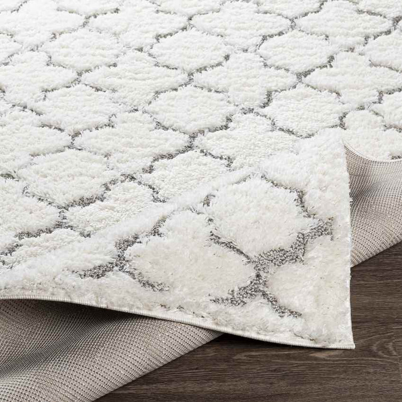 Hazennest Modern Cream Area Rug