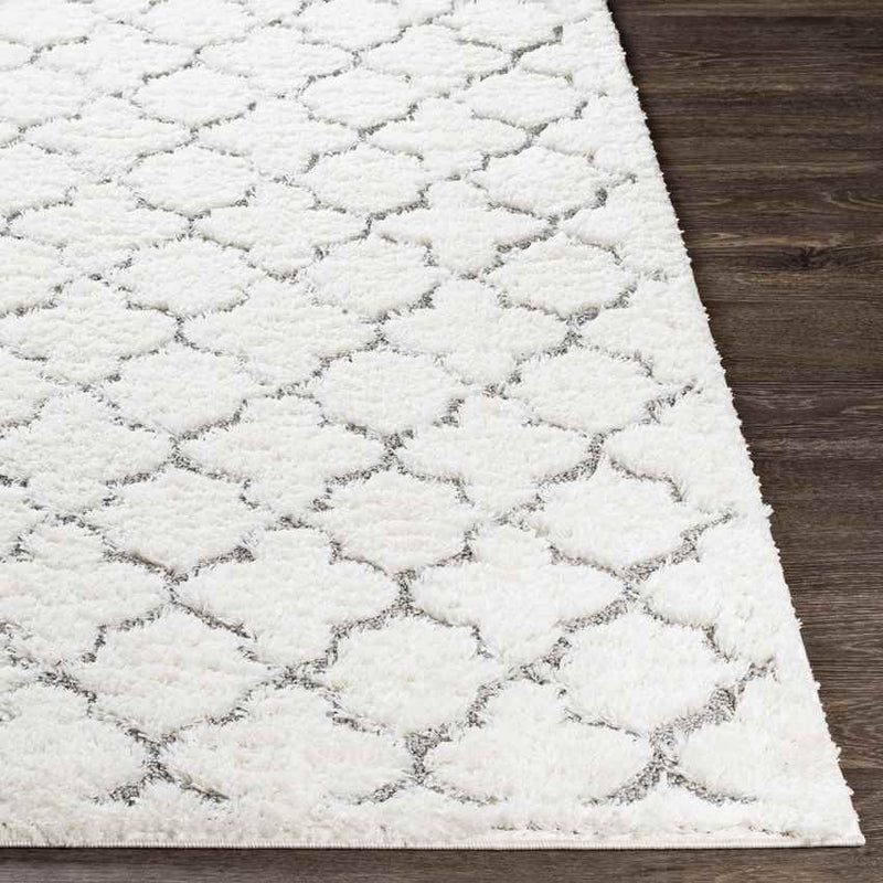 Hazennest Modern Cream Area Rug