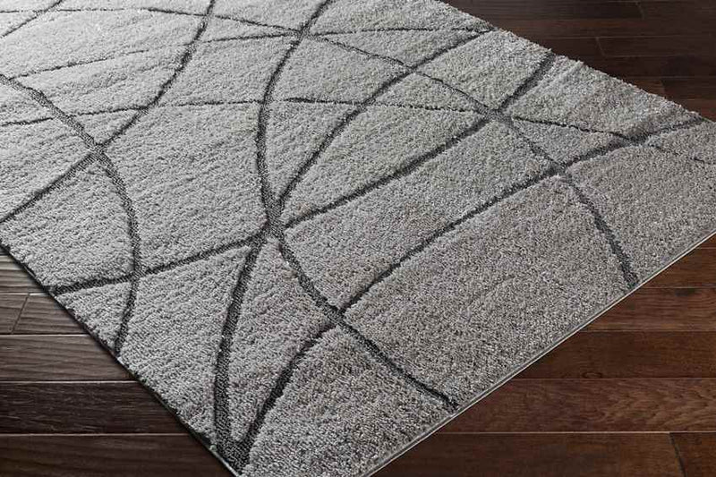 Hedel Modern Medium Gray Area Rug