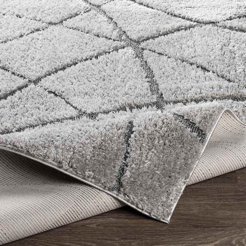 Hedel Modern Medium Gray Area Rug