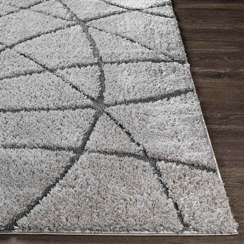 Hedel Modern Medium Gray Area Rug