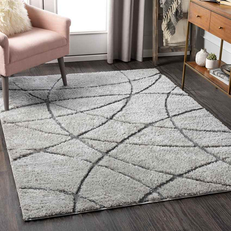 Hedel Modern Medium Gray Area Rug