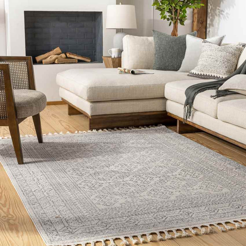 Heitrak Global Medium Gray Area Rug