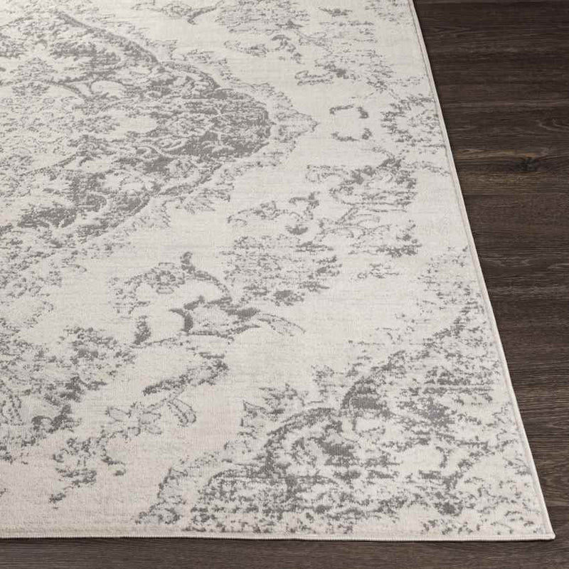 Brongerga Traditional Silver Gray Area Rug