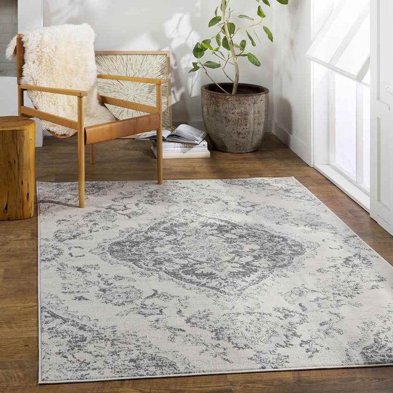 Brongerga Traditional Silver Gray Area Rug