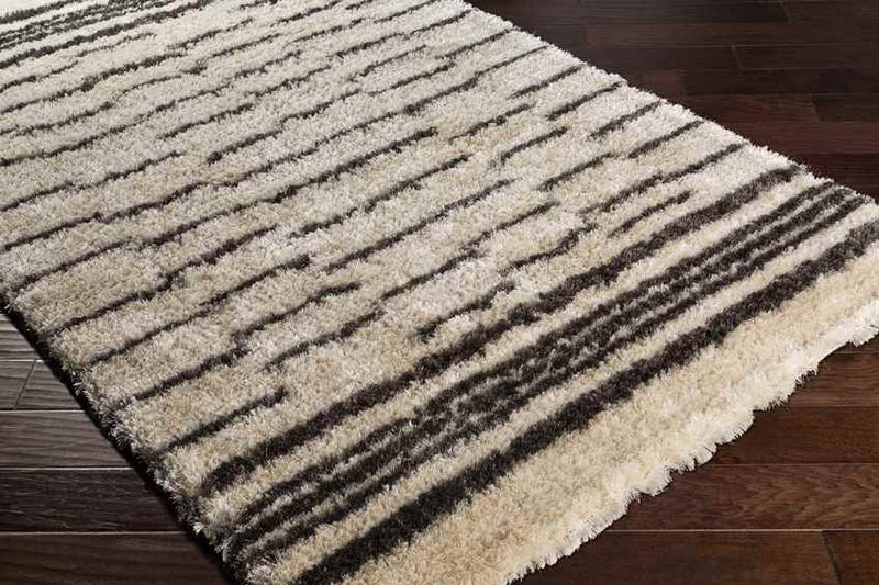 Kameren Modern Charcoal Area Rug