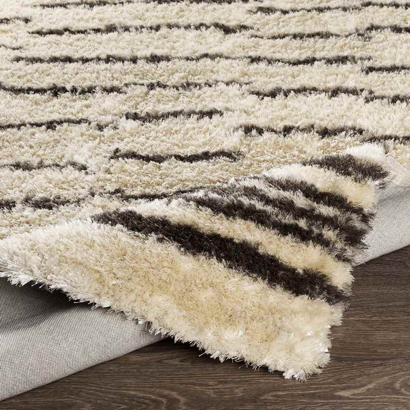 Kameren Modern Charcoal Area Rug