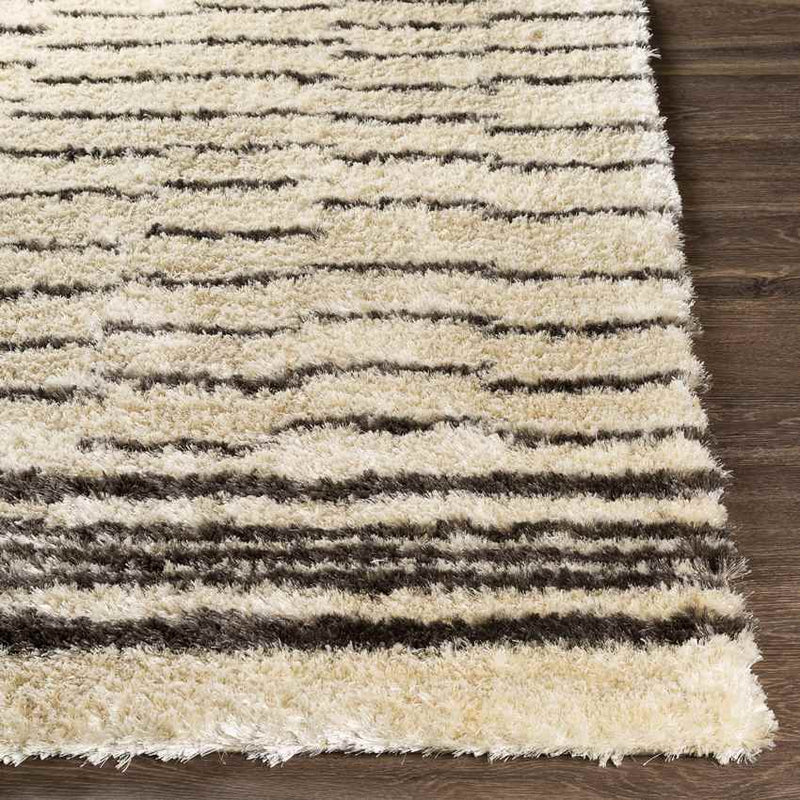 Kameren Modern Charcoal Area Rug