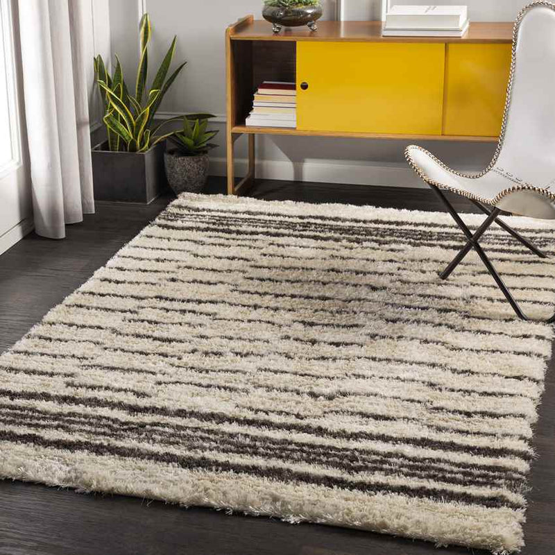 Kameren Modern Charcoal Area Rug