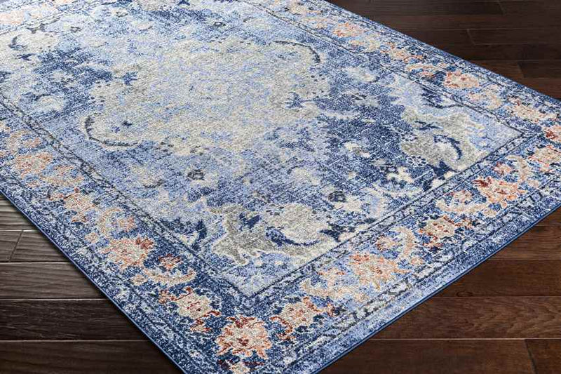 Kreijl Traditional Light Blue Area Rug