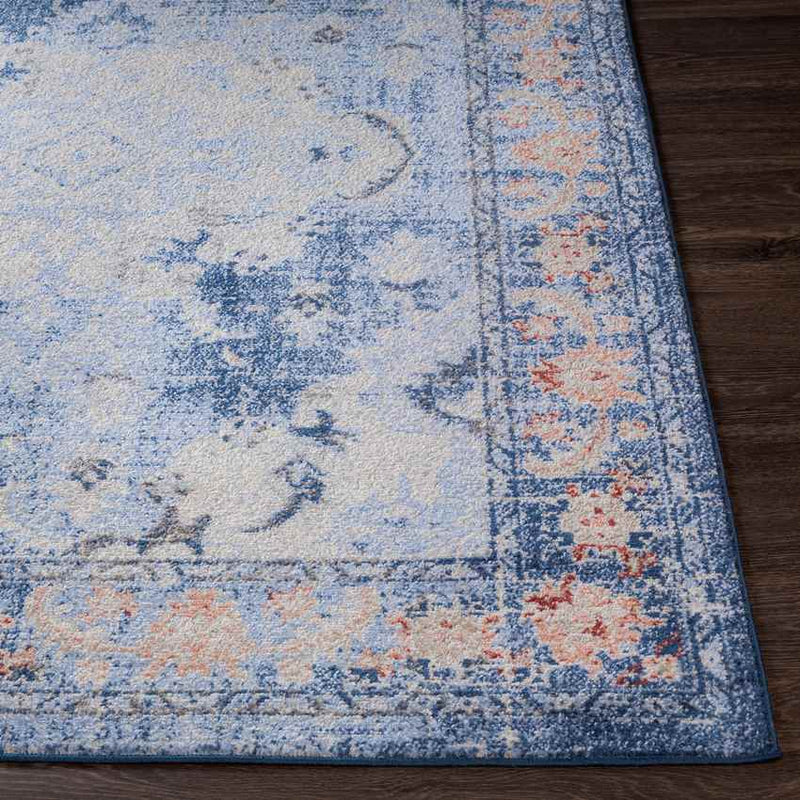 Kreijl Traditional Light Blue Area Rug