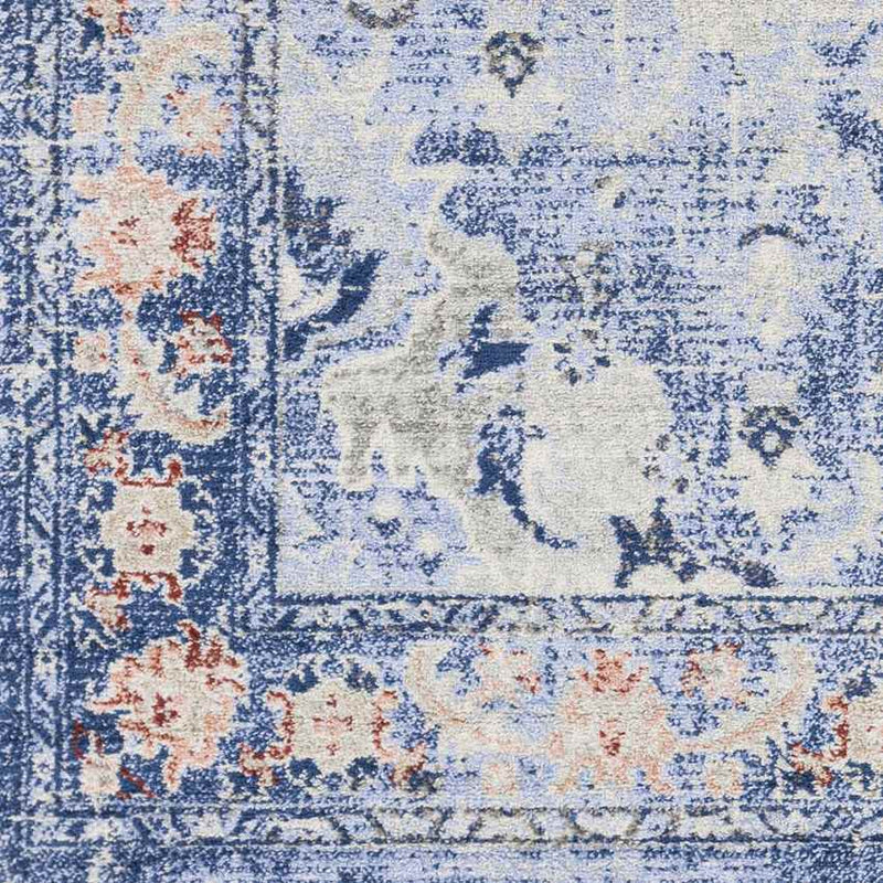 Kreijl Traditional Light Blue Area Rug