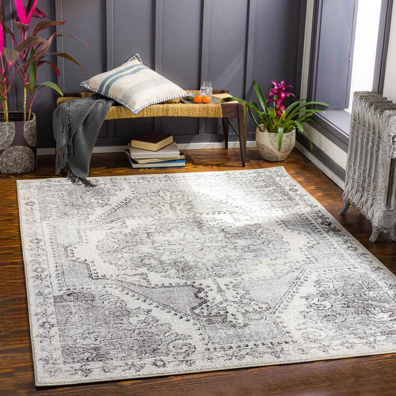 Kuivezand Traditional Light Gray Area Rug