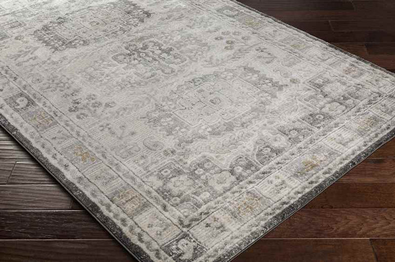 Landorp Traditional Light Gray Area Rug