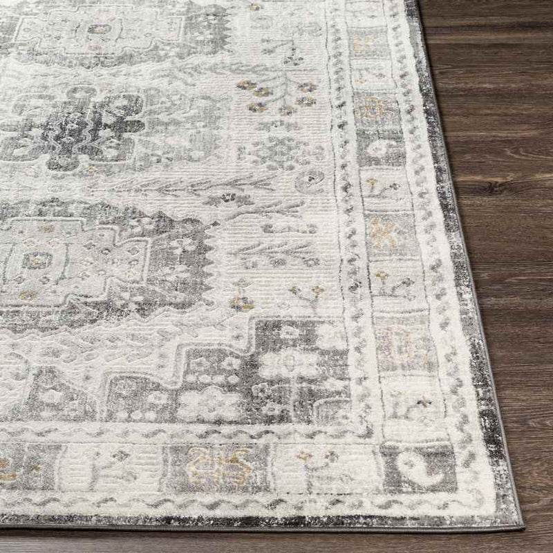 Landorp Traditional Light Gray Area Rug