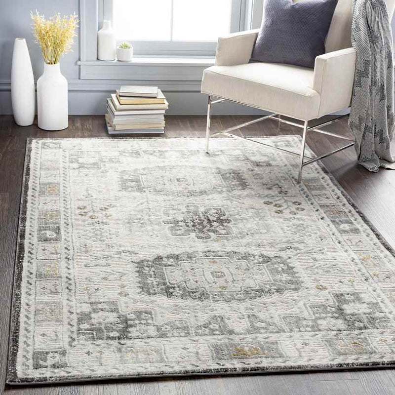 Landorp Traditional Light Gray Area Rug