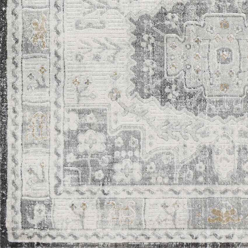 Landorp Traditional Light Gray Area Rug